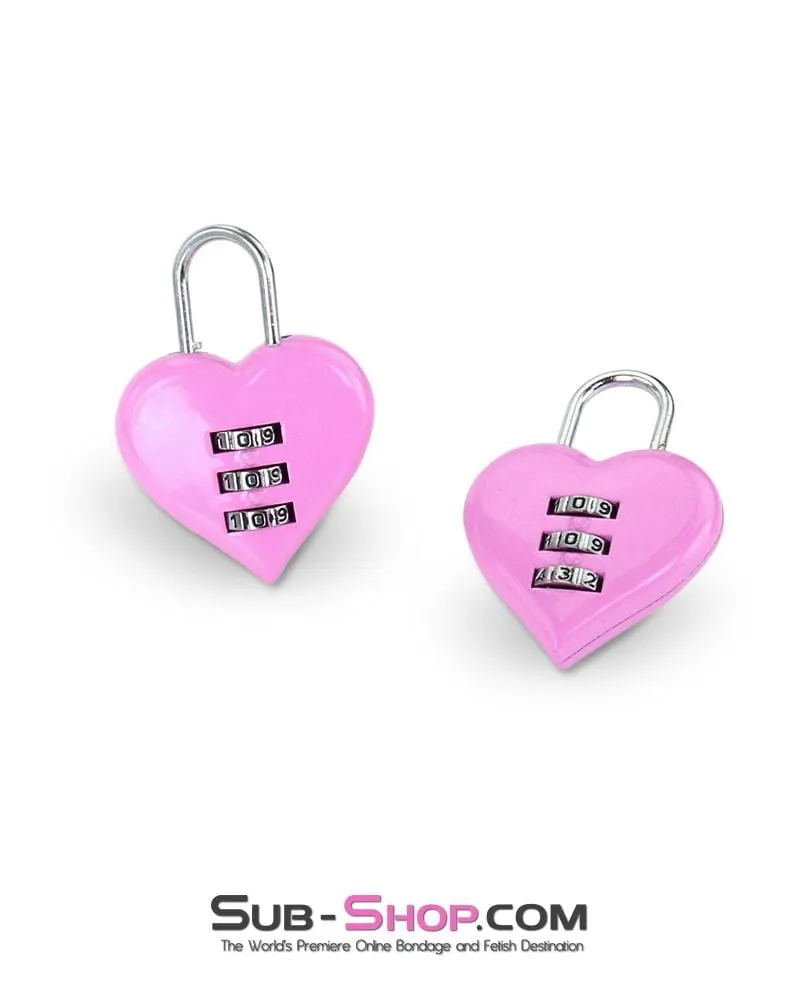 3307M-SIS      Pretty Sissy Pink Heart Accessories Combination Bondage Gear Fetish Mistress Lock