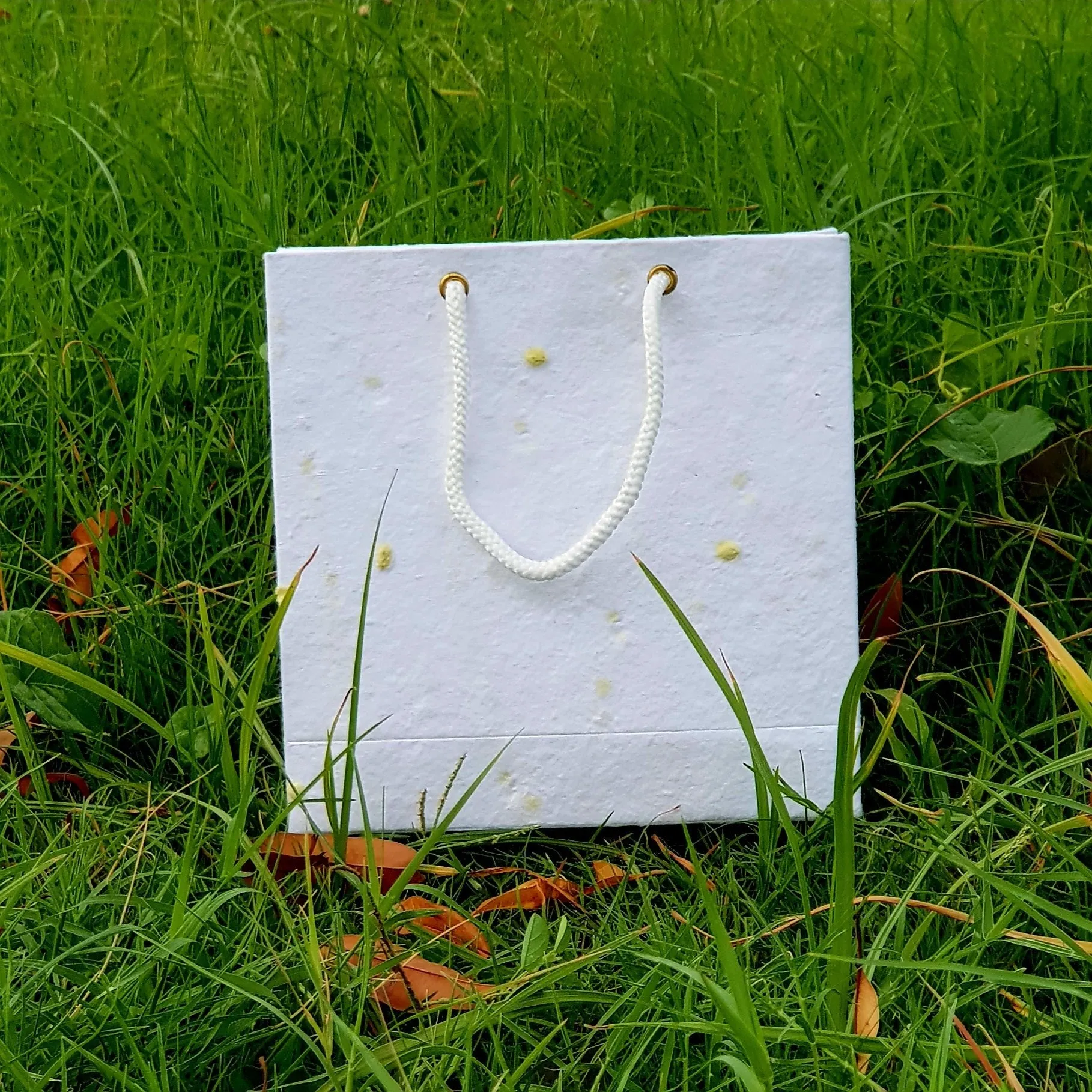 Plantable Seed Paper Bags 7"x7" size in set of 25 bags