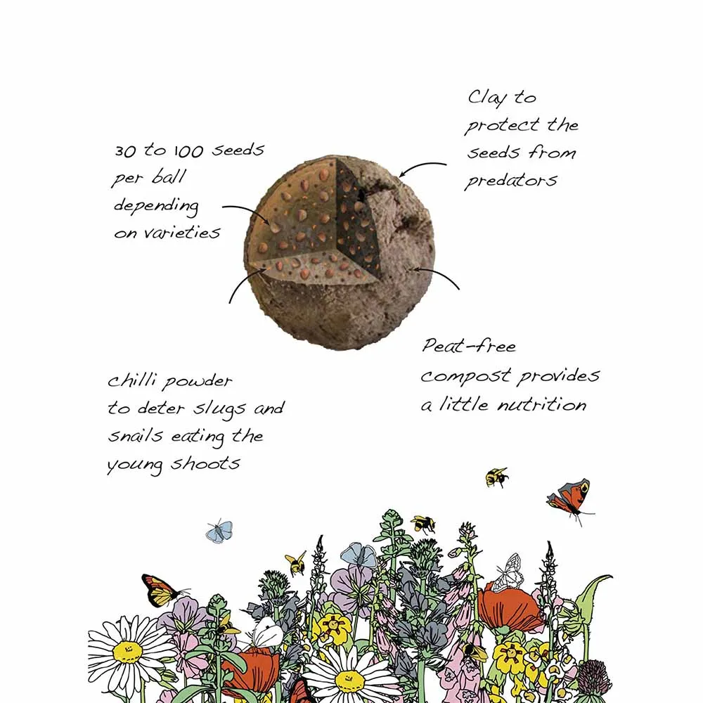 Seedball Wildflower Grab Bag - Shade Mix